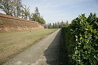 Img 099